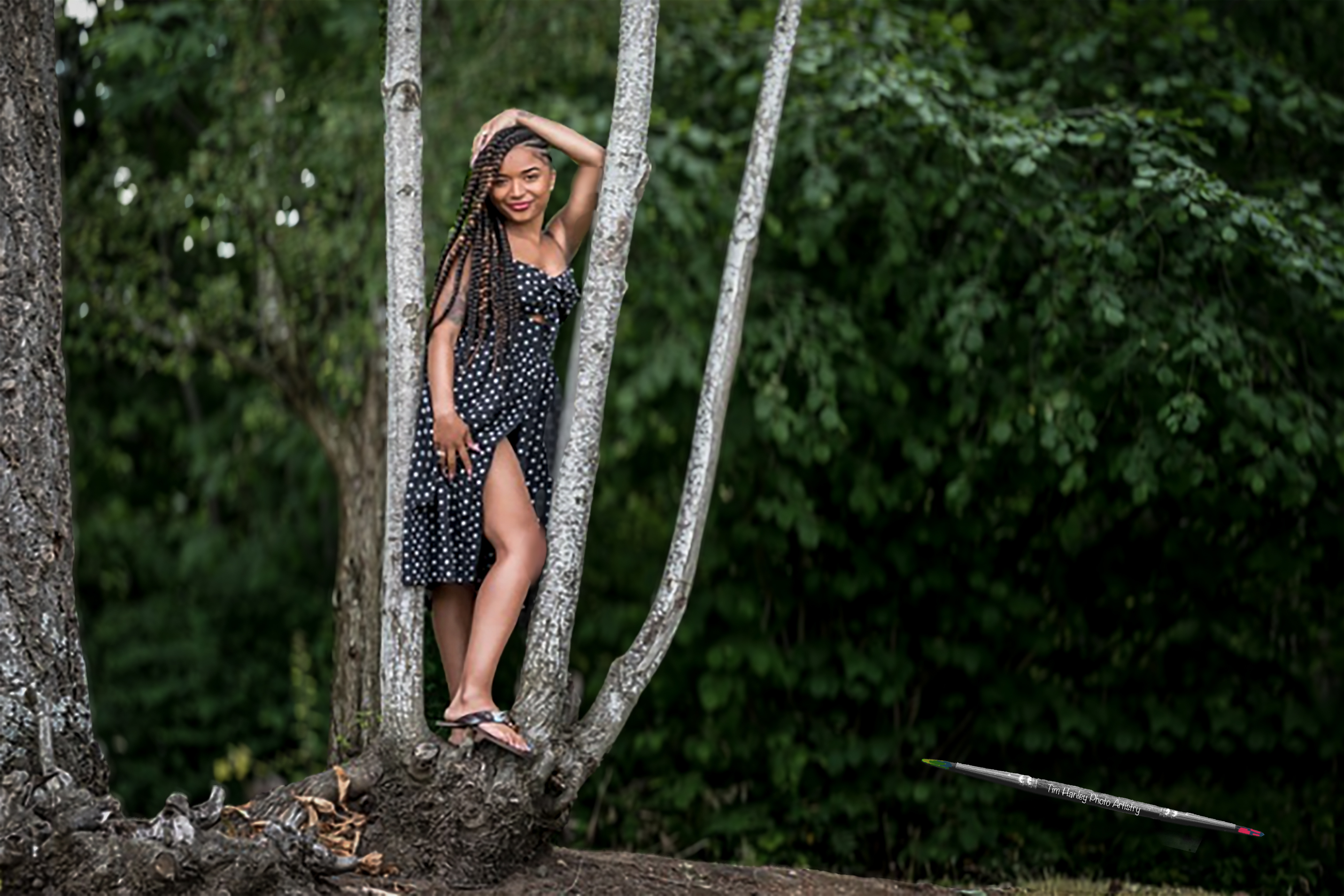 In the Trees